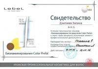 Сертификат сотрудника Дзигоева З.М.