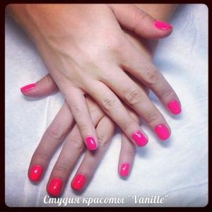 Фотография Vanille 1