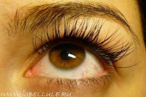 Фотография Libellule.ru 2