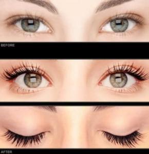 Фотография Wowlashes 1