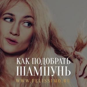Фотография Фелиссимо 2