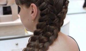 Фотография Светлана 5