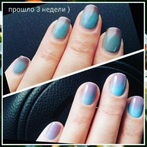Фотография Рефлекс 4