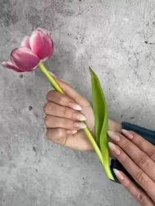 Фотография Nails No Problems  2